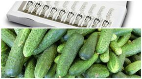 recettes de masques pour rajeunir la peau des mains.